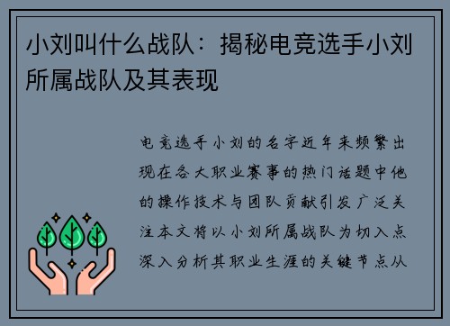 小刘叫什么战队：揭秘电竞选手小刘所属战队及其表现