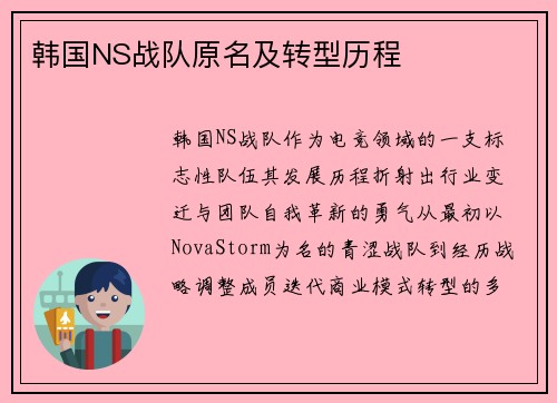 韩国NS战队原名及转型历程
