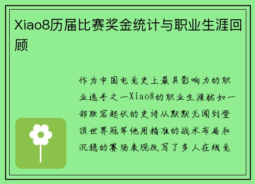 Xiao8历届比赛奖金统计与职业生涯回顾